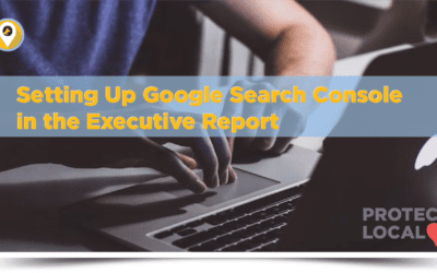 Setting Up Google Search Console in the Executive Report
